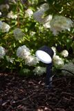 Lutec Dakota 7288602118 LED záhradné reflektor LED 12 W teplá biela, neutrálna biela, denná biela antracitová
