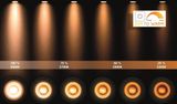 TALA LED - Stropné bodové osvetlenie - LED stmievanie do teplej farby - GU10 - 2x12W 2200K / 3000K - biela