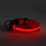 LED obojok - veľkosť S - červená 35 - 43 cm