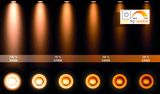 NIGEL - Stropné bodové svietidlo - LED Stmievanie do teplej farby - GU10 - 3x5W 2200K/3000K - Matné zlato / Mosadz