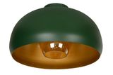 SHARAN - Zapustené stropné svietidlo - priemer 38 cm - 1xE27 - Zelené