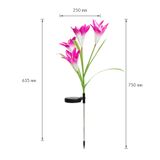 2ks - Zapichovací solárny kvet - RGB LED - 75 cm - ks / balenie