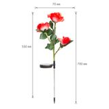 Zapichovací solárny kvet - červený, biely, ružový, RGB LED - 70 cm - 2 ks / balenie