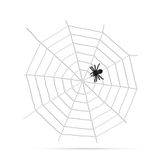Pavučina a pavúk - biela 130cm