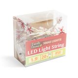 LED sveteľná reťaz - darček - 2,2 m - 20 LED - teplá biela - 2 x AA