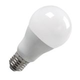 LED žiarovka E27/15W/Studená biela/6000K