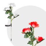 Zapichovací solárny kvet - červený, biely, ružový, RGB LED - 70 cm - 2 ks / balenie